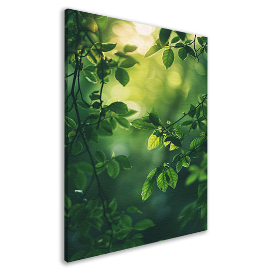 Zonnestralen door Groen Bladerdak canvas