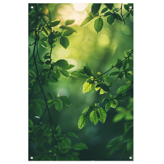 Zonnestralen door Groen Bladerdak tuinposter