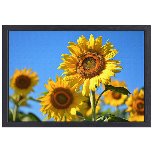 Gouden zonnebloemen onder een helderblauwe hemel canvas met baklijst