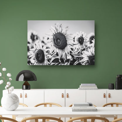 Elegante zwart-wit zonnebloemen, natuur in monochroom poster