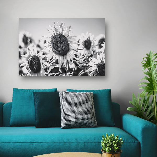Elegante zwart-wit zonnebloemen, natuur in monochroom poster