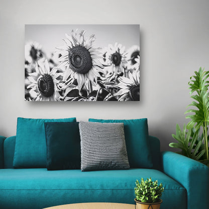 Elegante zwart-wit zonnebloemen, natuur in monochroom poster