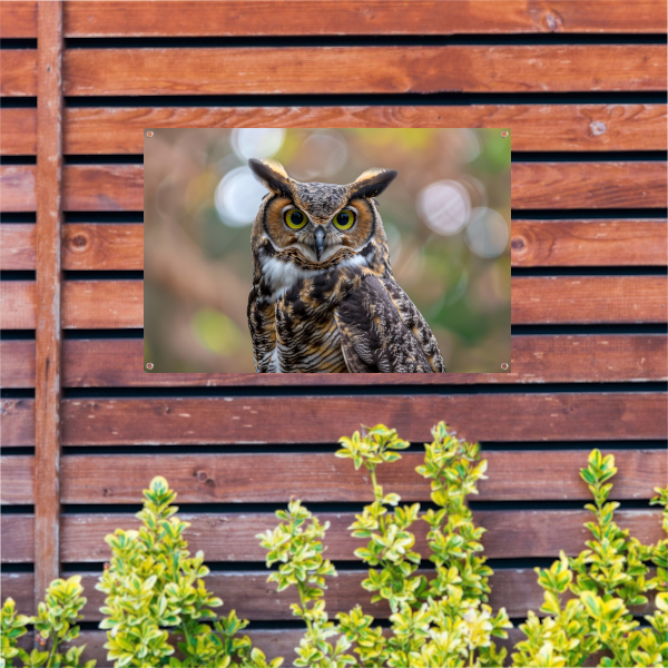 Alert Oog van de Natuurlijke Uil tuinposter