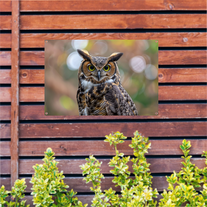Alert Oog van de Natuurlijke Uil tuinposter