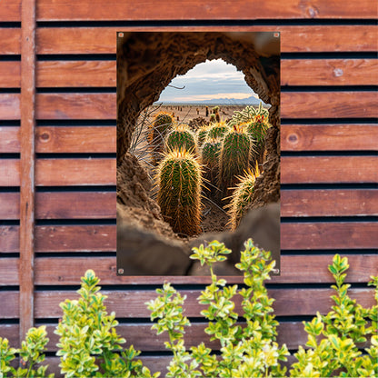 Cactussen door een natuurlijk venster tuinposter