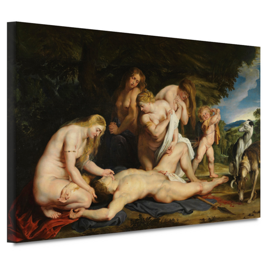 De dood van Adonis - Peter Paul Rubens canvas