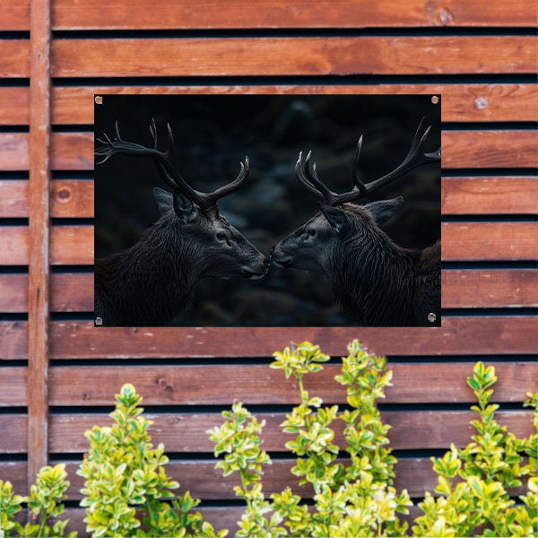 Twee herten met indrukwekkende geweien tuinposter