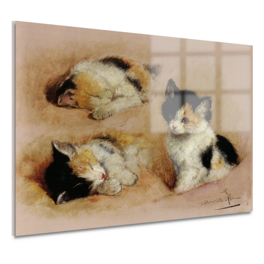 Studies van ontwakend katje - Henriëtte Ronner acrylglas