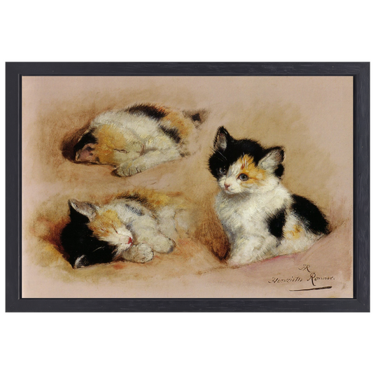 Studies van ontwakend katje - Henriëtte Ronner canvas met baklijst