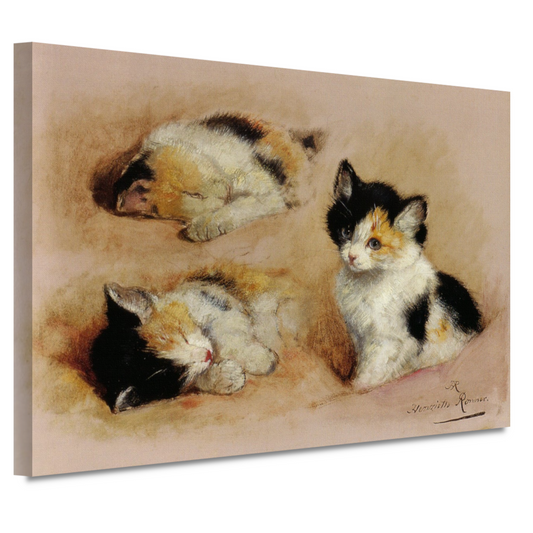 Studies van ontwakend katje - Henriëtte Ronner canvas