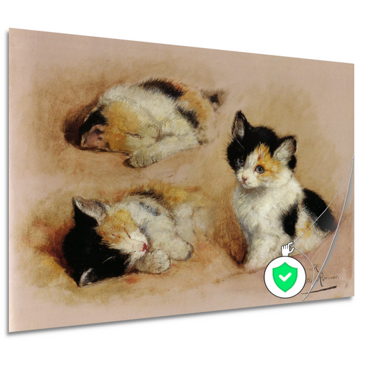 Studies van ontwakend katje - Henriëtte Ronner poster