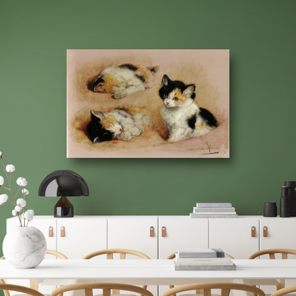 Studies van ontwakend katje - Henriëtte Ronner canvas met baklijst