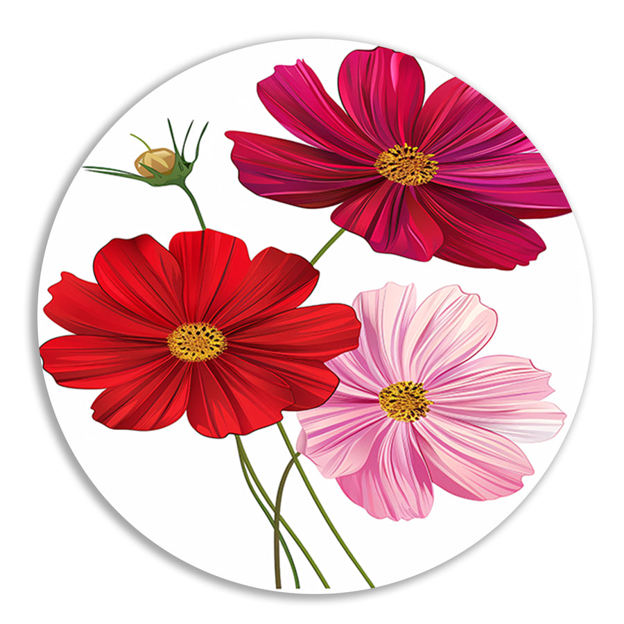 Drie Kosmosbloemen in zachte kleuren aluminium muurcirkel