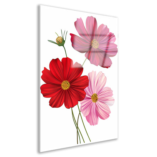 Drie Kosmosbloemen in zachte kleuren acrylglas