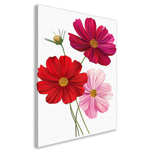 Drie Kosmosbloemen in zachte kleuren canvas