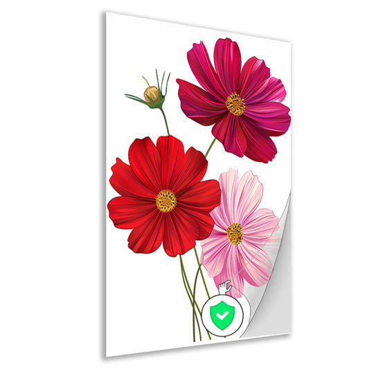 Drie Kosmosbloemen in zachte kleuren poster