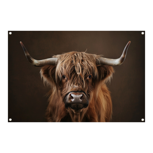 Schotse hooglander met statige blik tuinposter