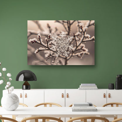 Macro-opname van een sneeuwvlok op takken poster