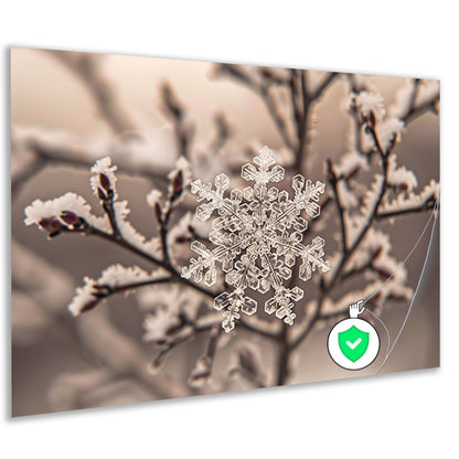 Macro-opname van een sneeuwvlok op takken poster