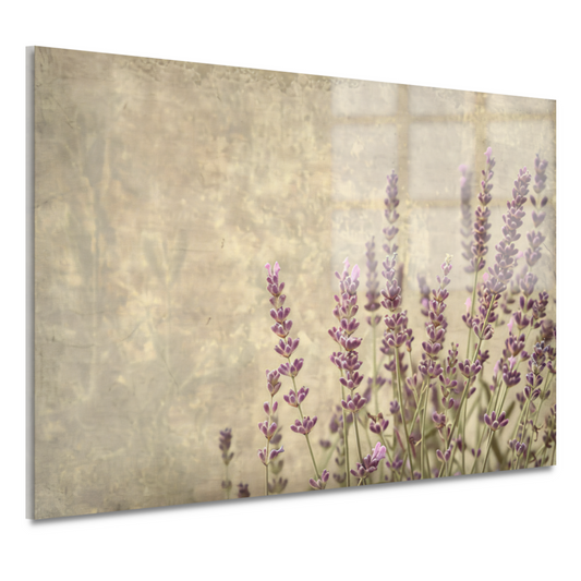 Paarse Lavendel in Bloei acrylglas