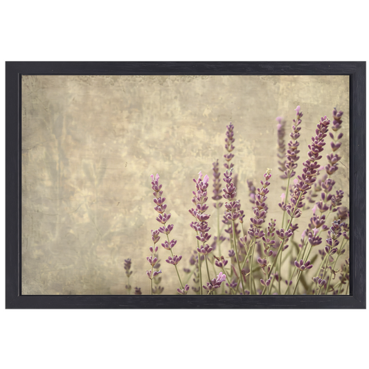 Paarse Lavendel in Bloei canvas met baklijst