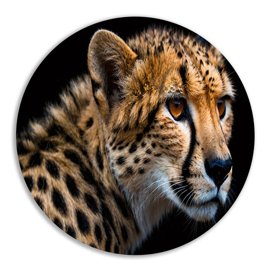 Indrukwekkende close-up van een cheetah forex muurcirkel