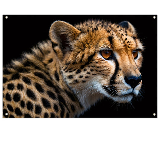 Indrukwekkende close-up van een cheetah tuinposter