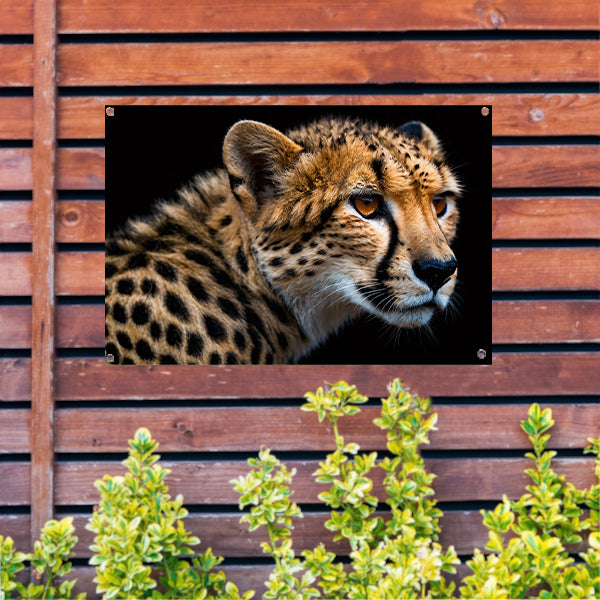 Indrukwekkende close-up van een cheetah tuinposter