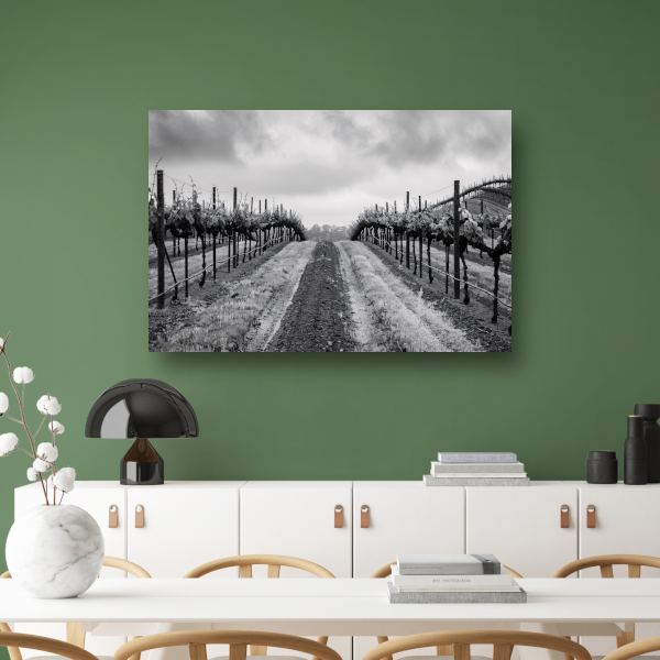 Wijngaard onder grijze hemel canvas met baklijst
