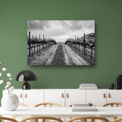 Wijngaard onder grijze hemel canvas met baklijst