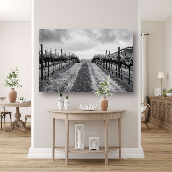 Wijngaard onder grijze hemel canvas met baklijst