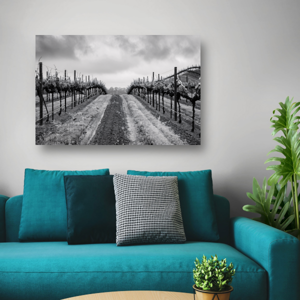 Wijngaard onder grijze hemel canvas met baklijst