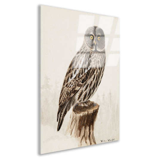 Grote Grijze Uil - Wilhelm von Wright Acrylglas