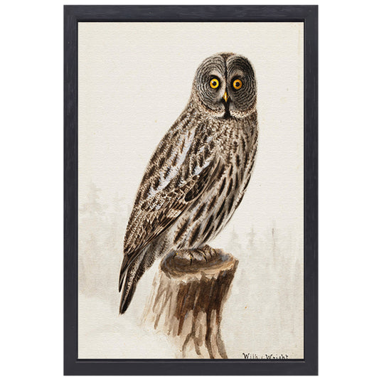 Grote Grijze Uil - Wilhelm von Wright canvas met baklijst