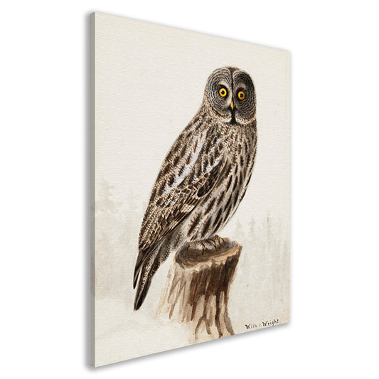 Grote Grijze Uil - Wilhelm von Wright canvas