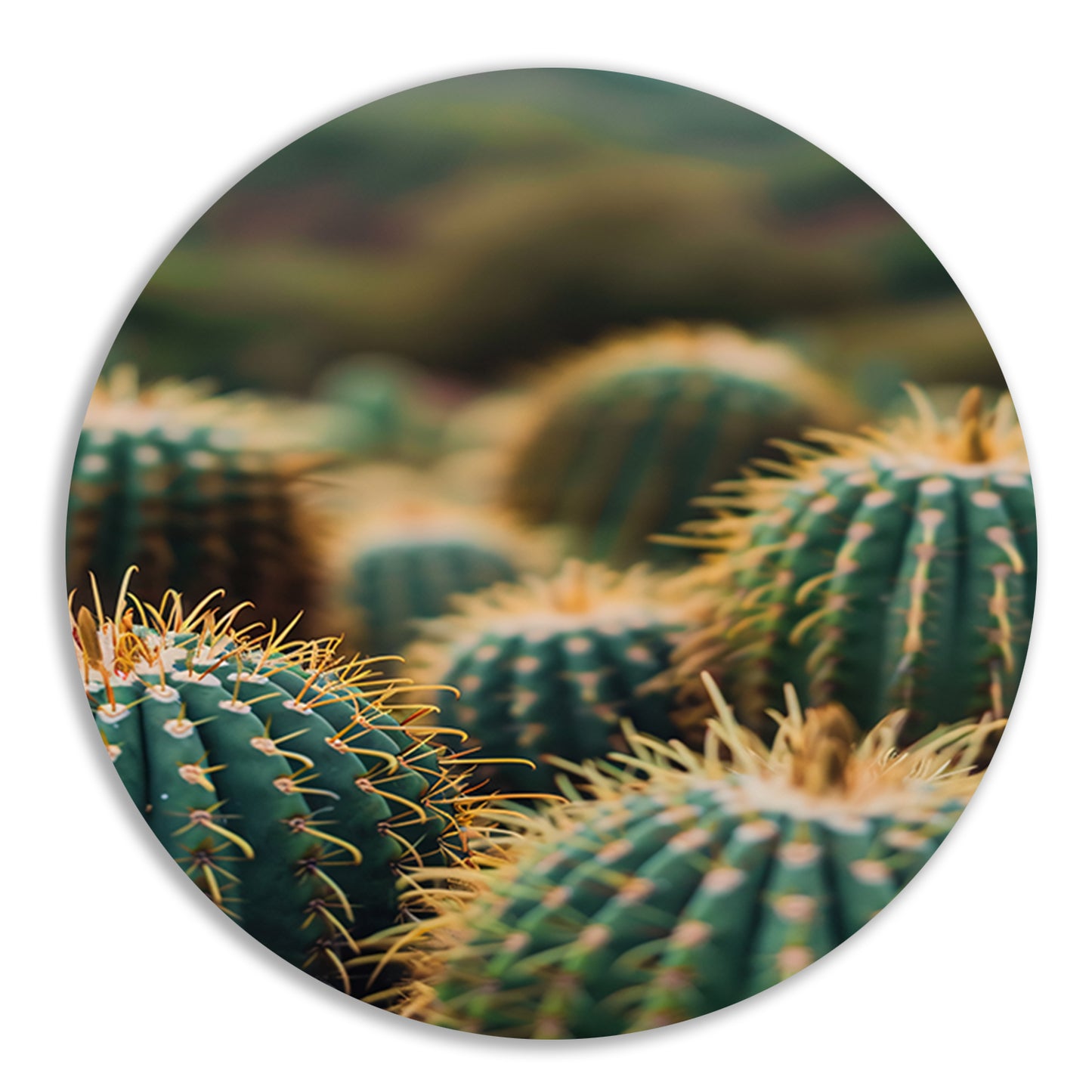Close-up van Groene Cactussen aluminium muurcirkel