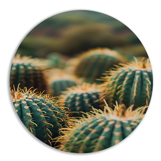Close-up van Groene Cactussen aluminium muurcirkel