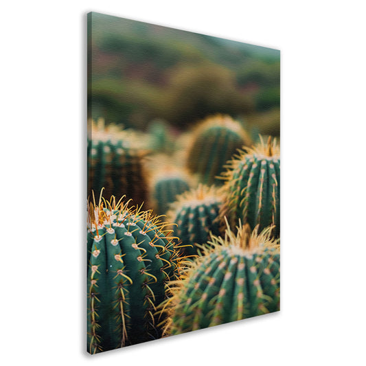 Close-up van Groene Cactussen canvas