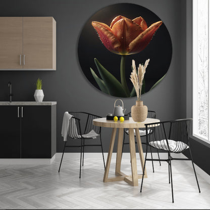 Dauwdruppels op levendige oranje tulp aluminium muurcirkel