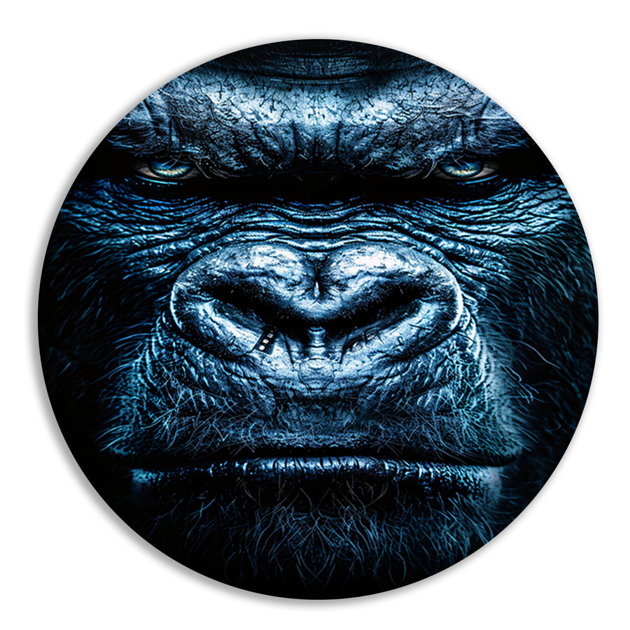 Gorilla met een intense blauwe blik aluminium muurcirkel