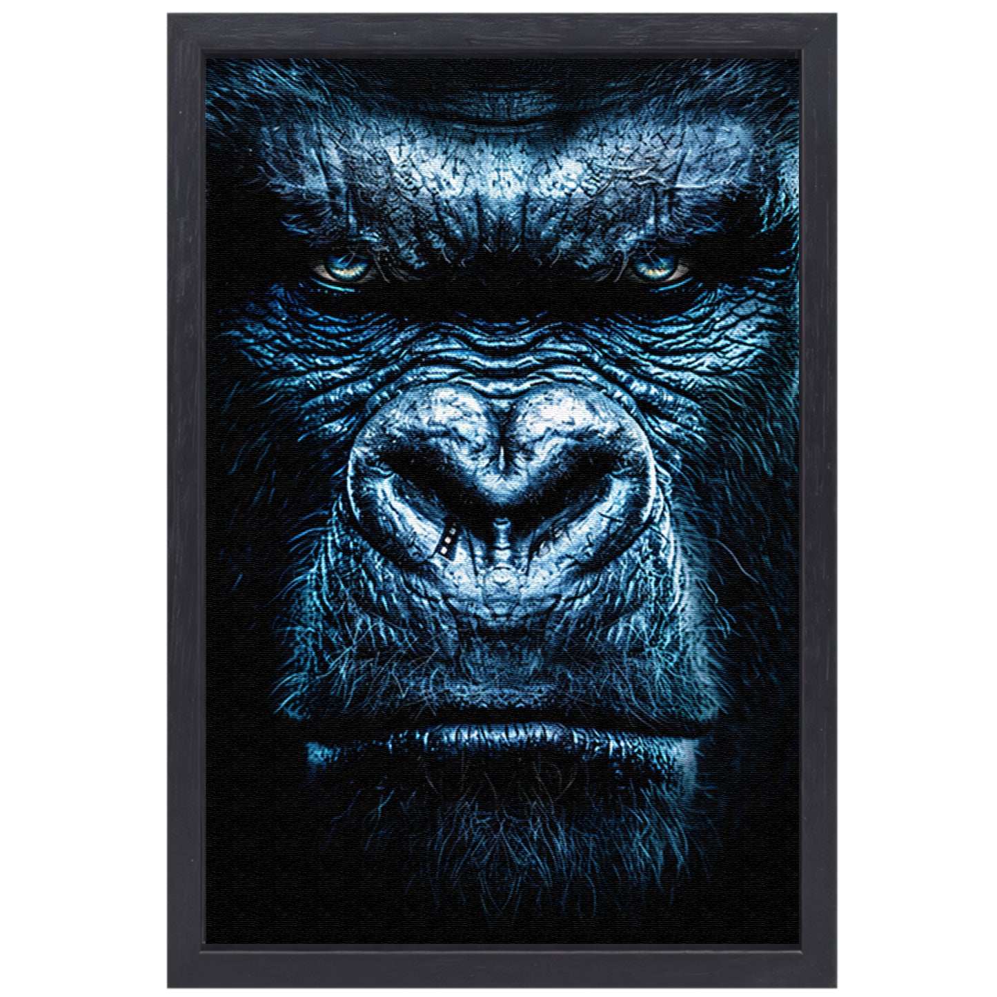 Gorilla met een intense blauwe blik canvas met baklijst