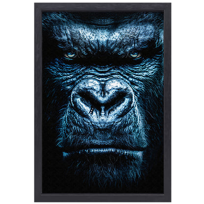Gorilla met een intense blauwe blik canvas met baklijst