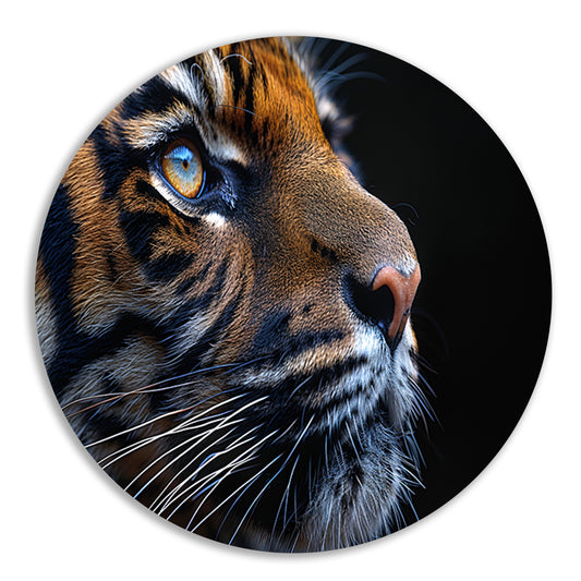 Het betoverende oog van de tijger aluminium muurcirkel