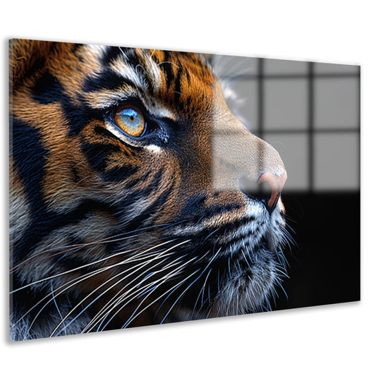 Het betoverende oog van de tijger acrylglas