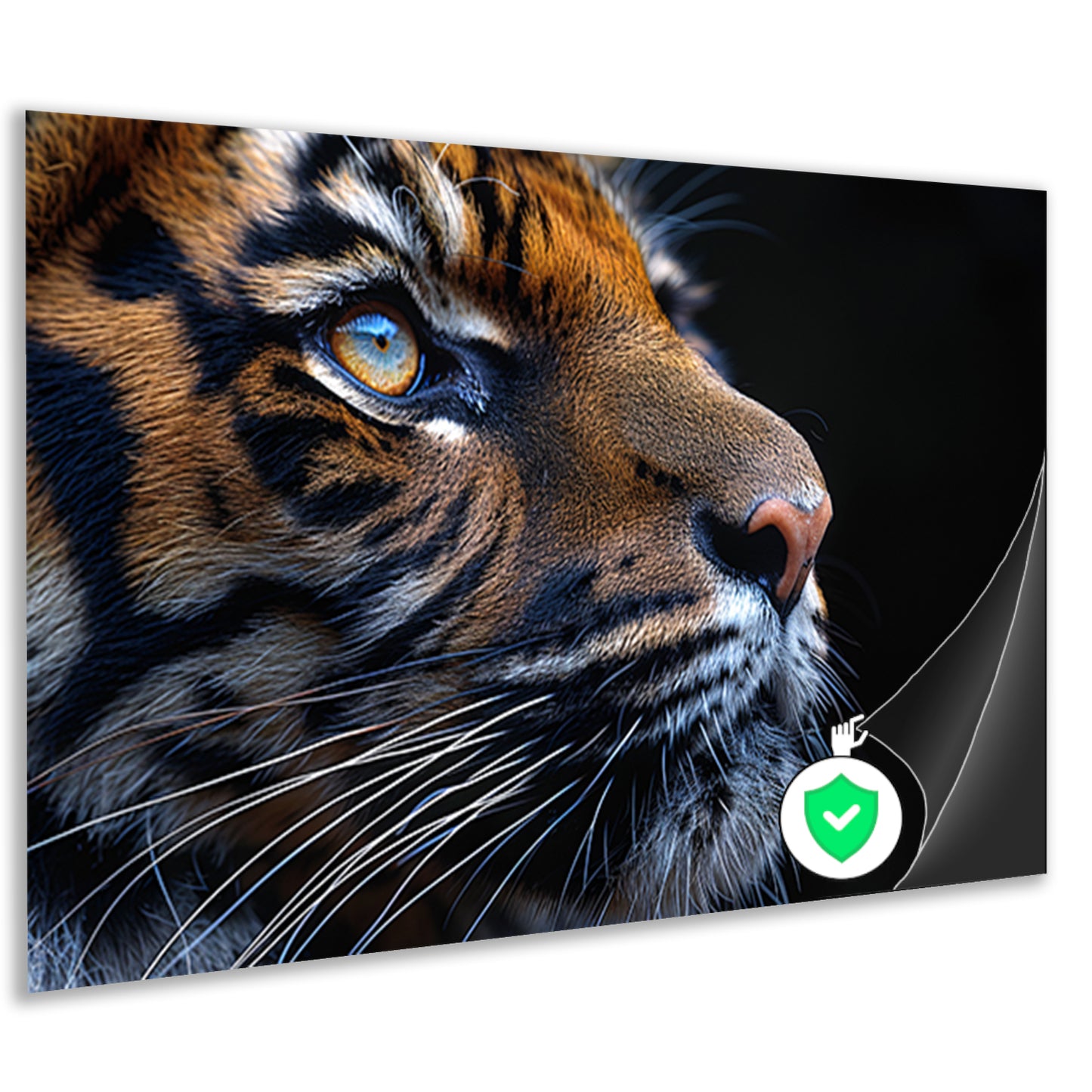 Het betoverende oog van de tijger poster