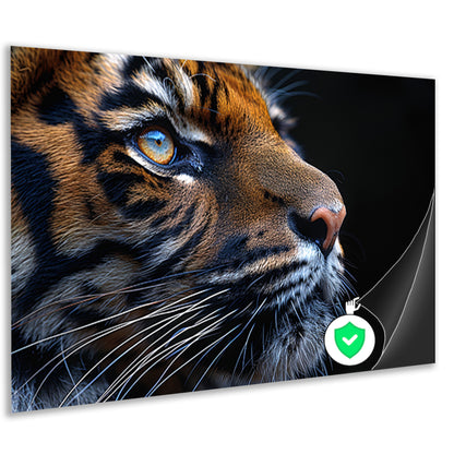 Het betoverende oog van de tijger poster