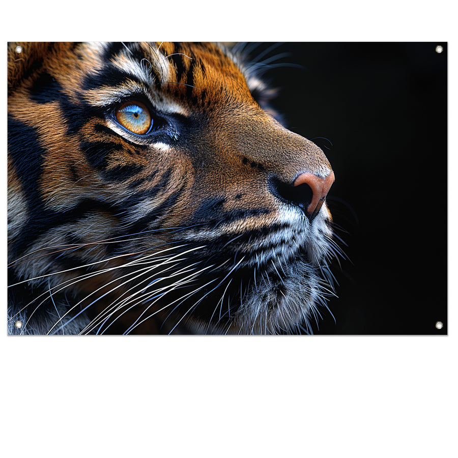 Het betoverende oog van de tijger tuinposter