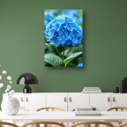 Close-up van een blauwe hortensia bloem canvas