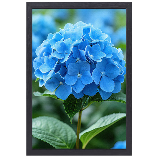 Close-up van een blauwe hortensia bloem canvas met baklijst
