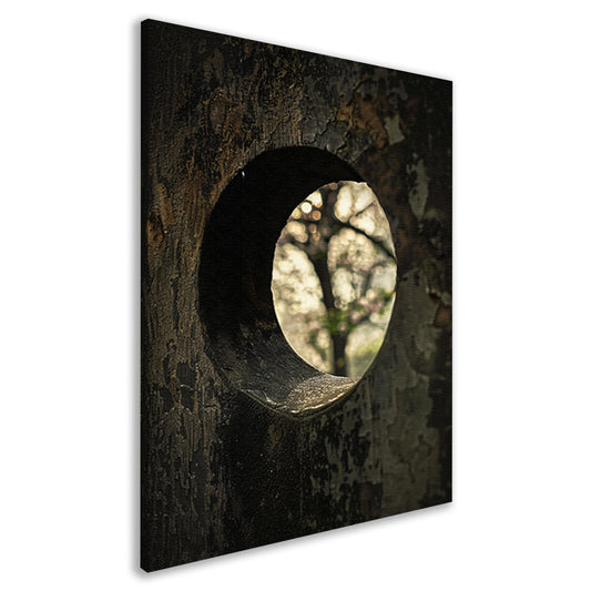 Monochrome Boom door een Gat canvas